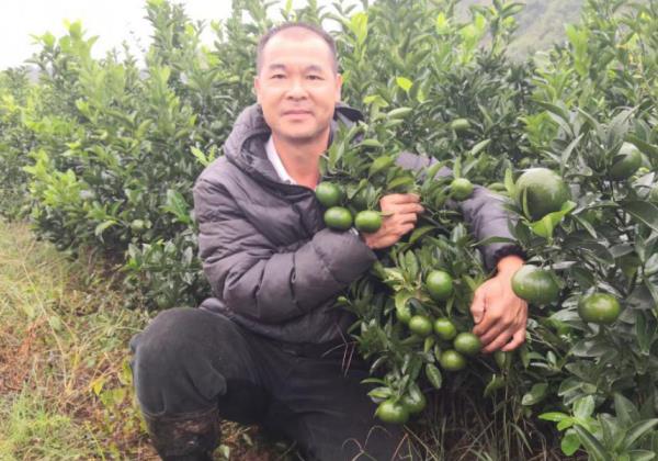 “惠農(nóng)直播”和“看行情”兩大功能助力惠農(nóng)網(wǎng)商家日進斗金