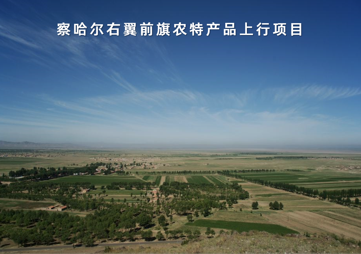 內蒙古自治區察哈爾右翼前旗農特產品上行項目