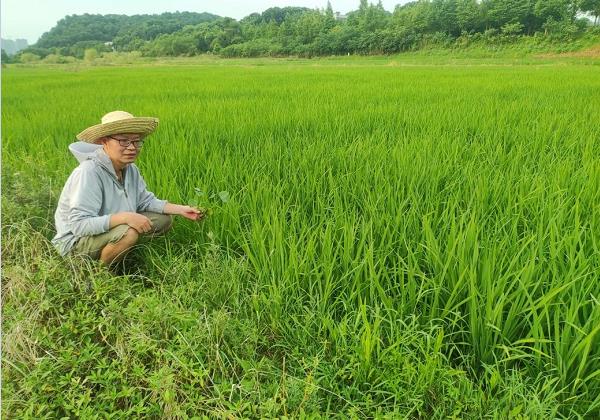 年入200余萬元！看80后IT高管如何靠惠農網跨界生財
