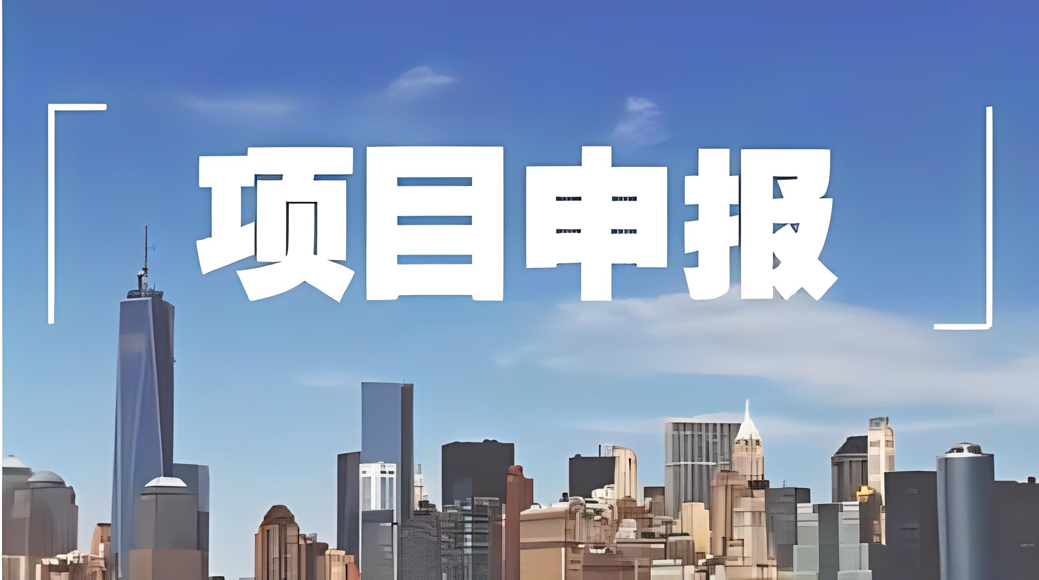項目申報服務案例