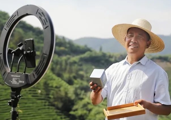 非遺傳承人孫壯志：年產超萬斤，讓桐城小花香譽全國