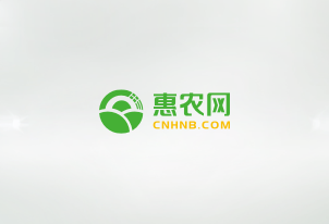 武岡市商務(wù)局局長喬梁一行到惠農(nóng)網(wǎng)走訪，探討縣域電商產(chǎn)業(yè)發(fā)展、農(nóng)旅融合以及后續(xù)合作方向